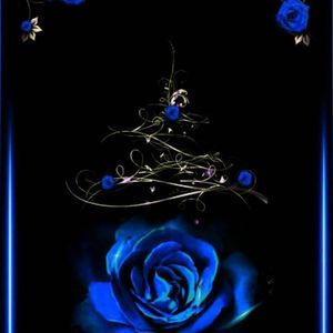 Meet your Posher, Letasha